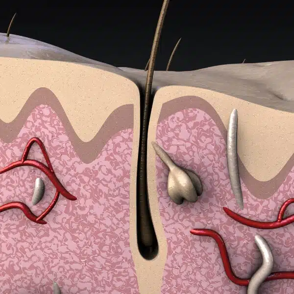 Does follicle hair growing cause itching